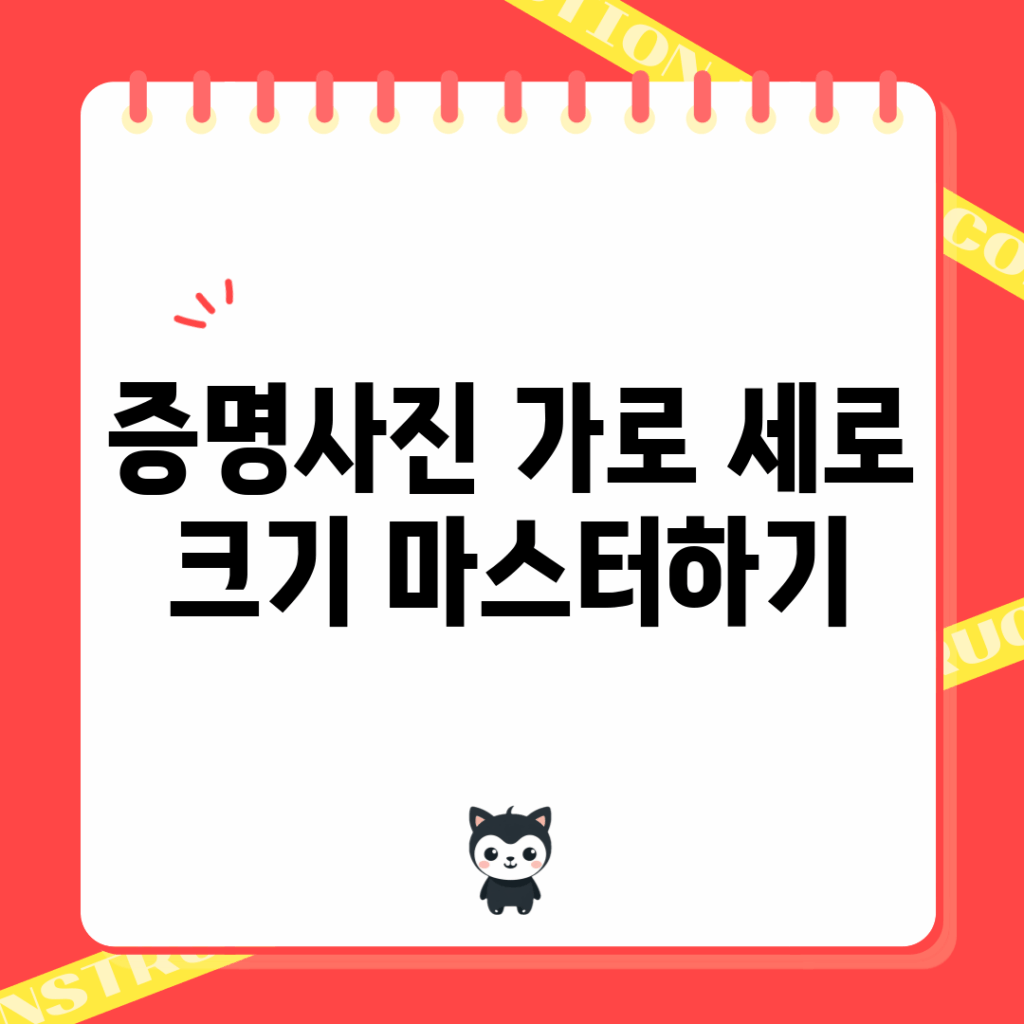 증명사진 가로 세로 크기 마스터하기