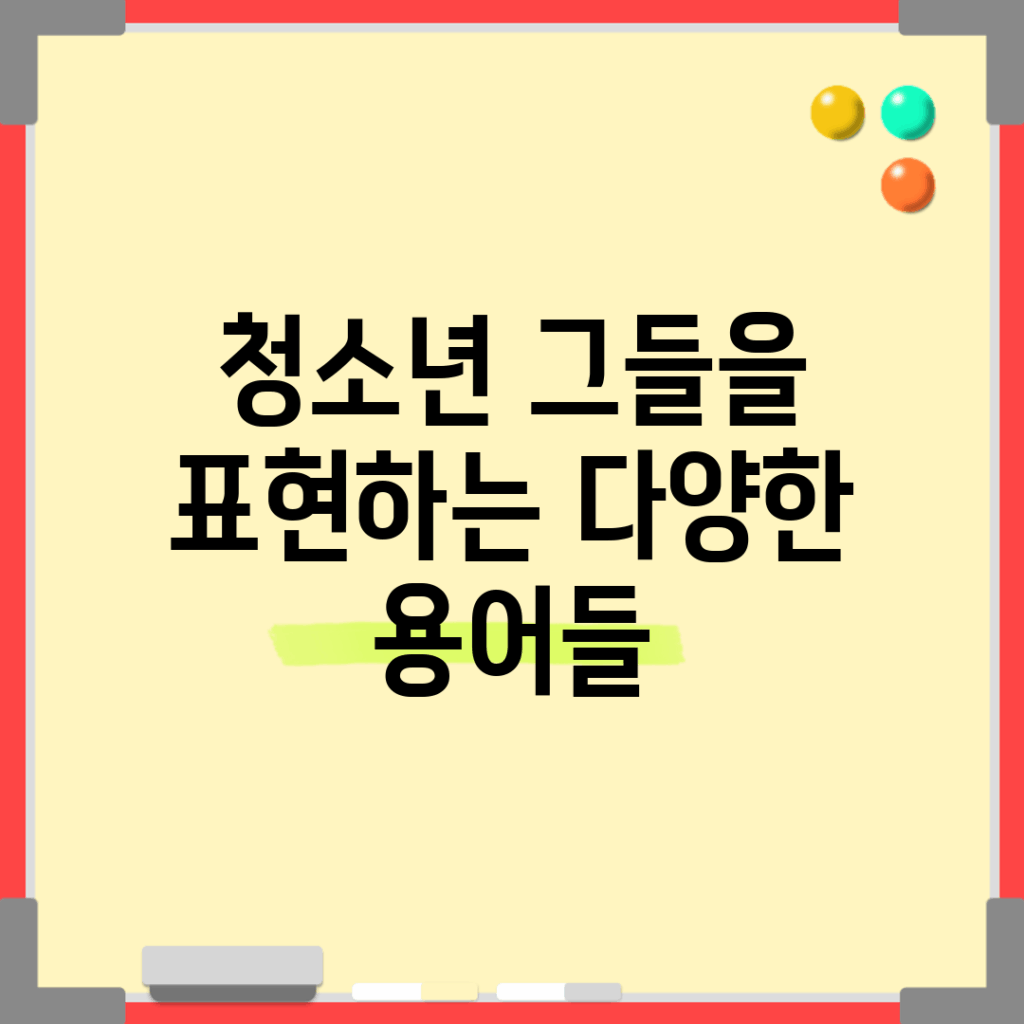 청소년, 그들을 표현하는 다양한 용어들