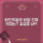 하얀쥐꿈, 진짜 의미는 무엇일까요?