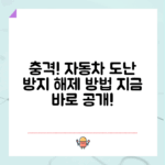 충격적인 자동차 도난방지 해제 방법 공개!