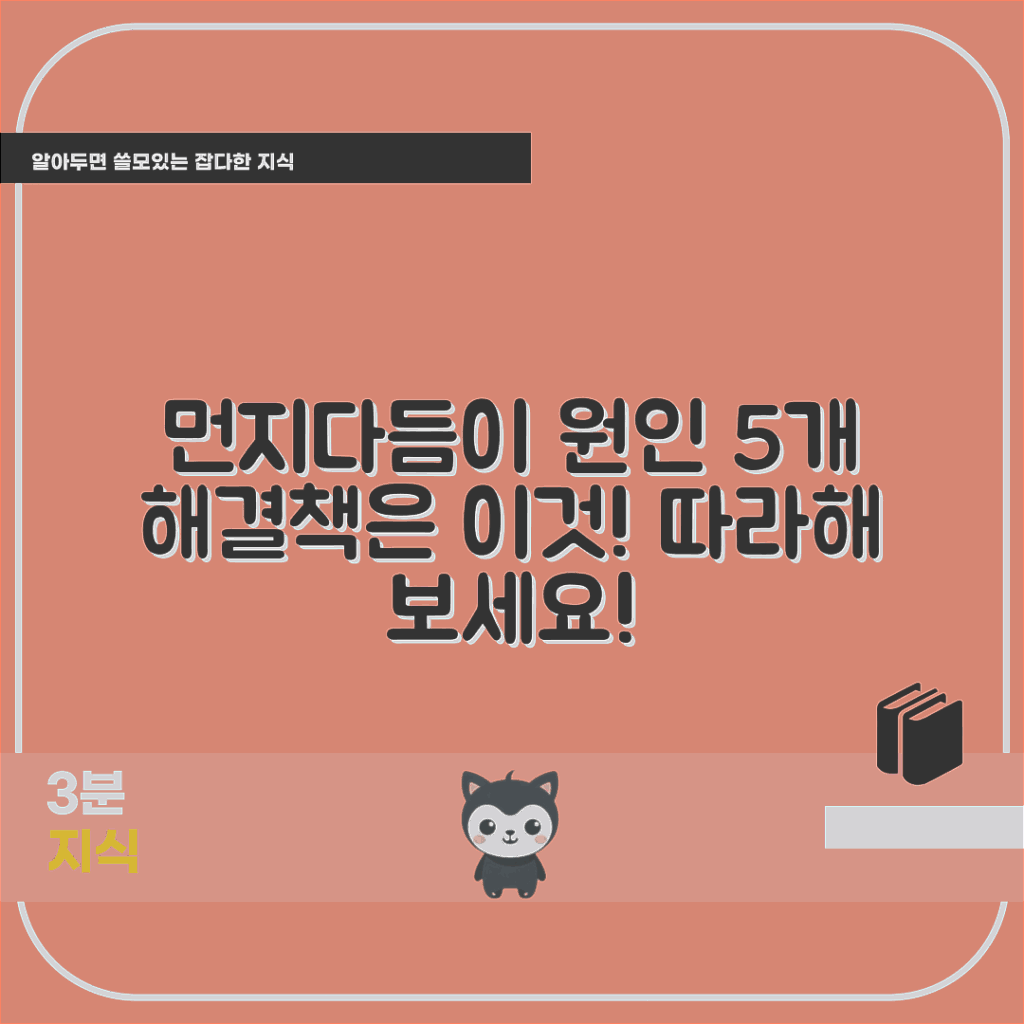 먼지다듬이 원인 5가지와 해결책