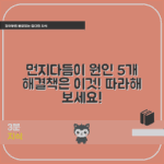 먼지다듬이 원인 5가지와 해결책