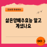 삶은양배추효능, 알고 계셨나요?