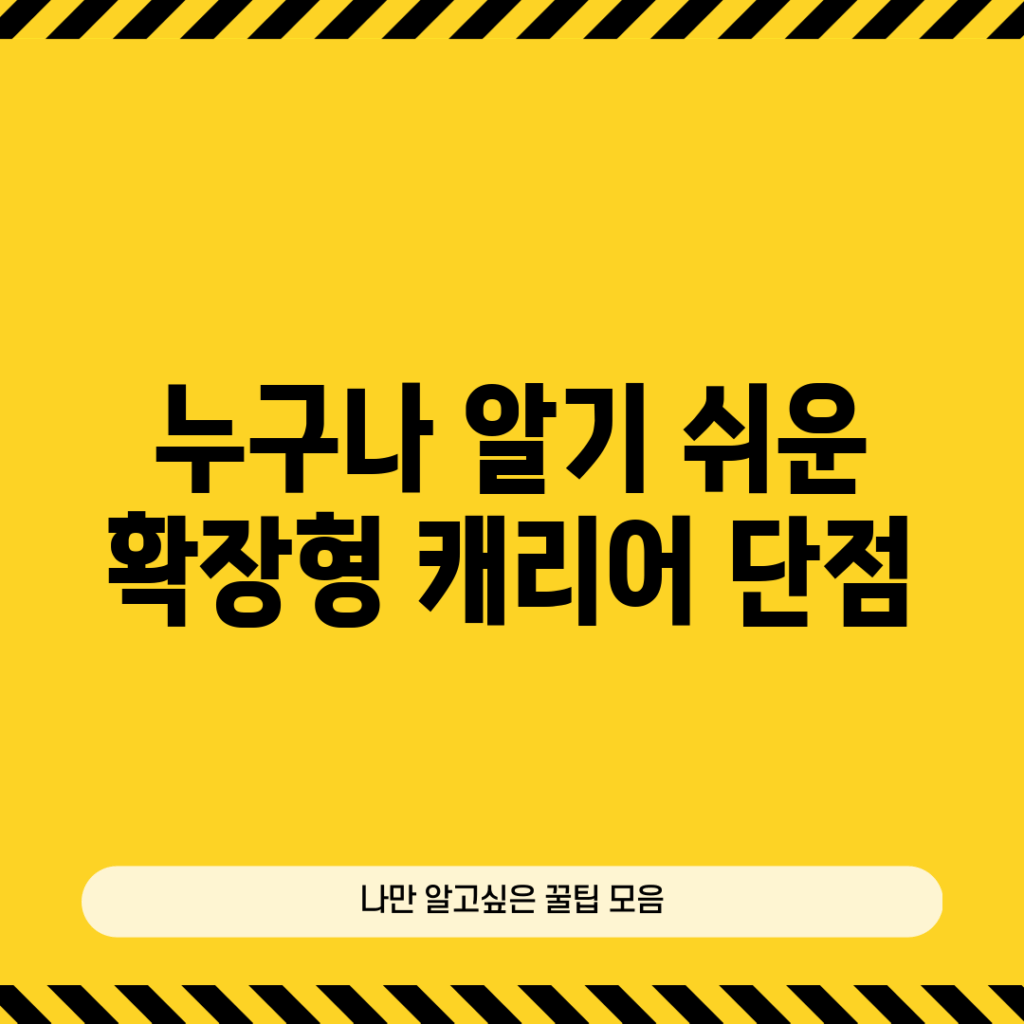 누구나 알기 쉬운 확장형 캐리어 단점