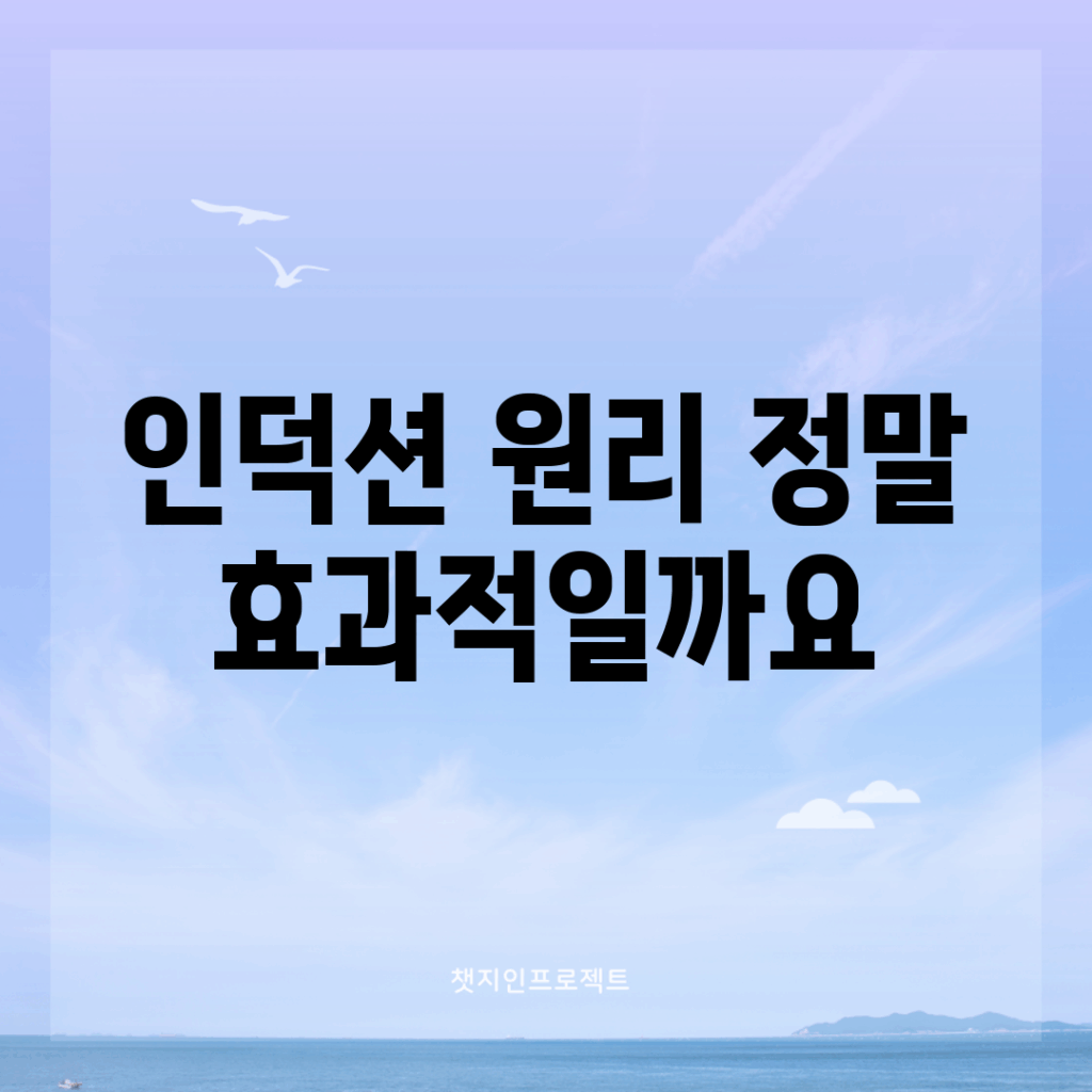 인덕션 원리, 정말 효과적일까요?