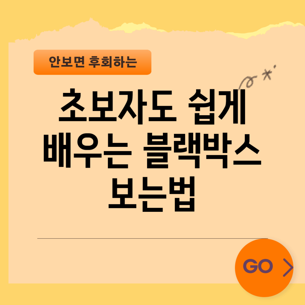 초보자도 쉽게 배우는 블랙박스 보는법