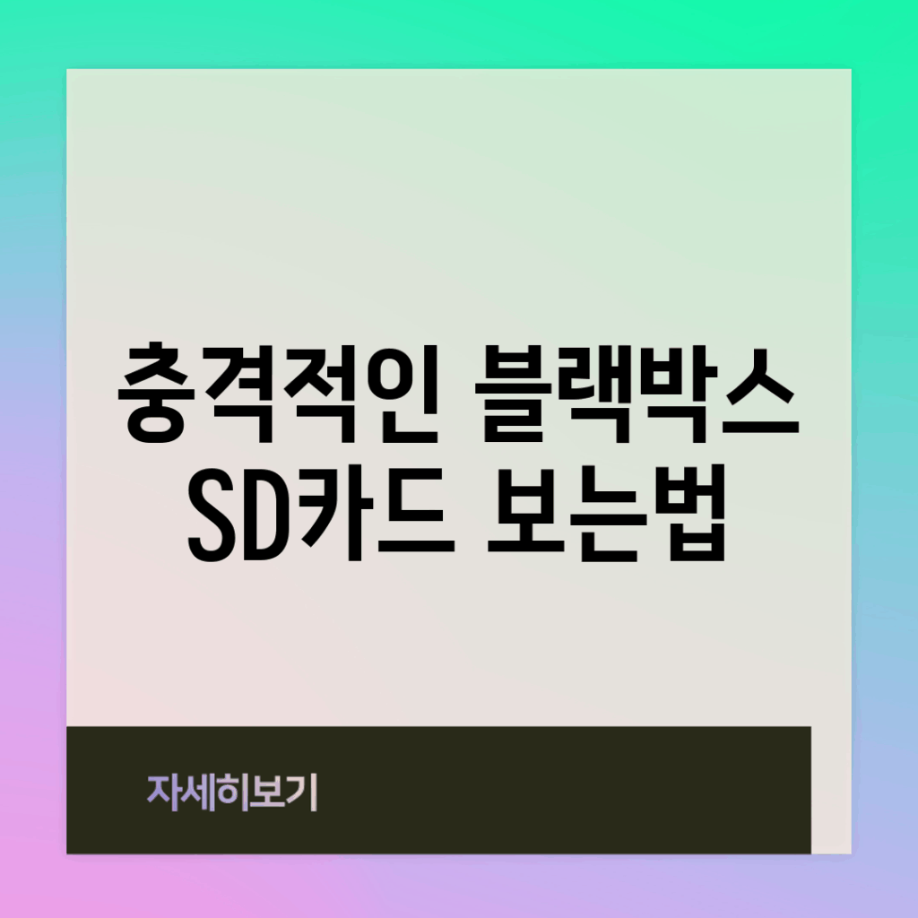 충격적인 블랙박스 SD카드 보는법!