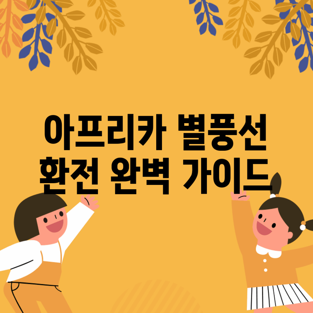 아프리카 별풍선 환전 완벽 가이드
