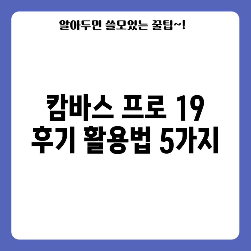 캄바스 프로 19 후기: 활용법 5가지