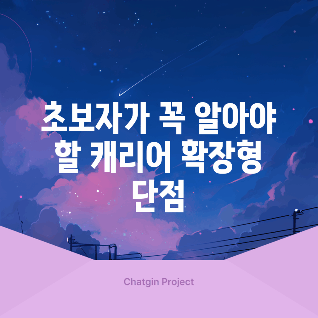 초보자가 꼭 알아야 할 캐리어 확장형 단점
