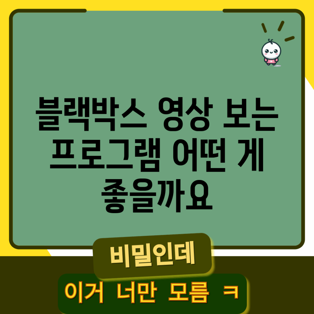 블랙박스 영상 보는 프로그램, 어떤 게 좋을까요?