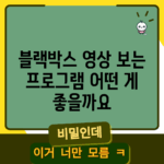 블랙박스 영상 보는 프로그램, 어떤 게 좋을까요?