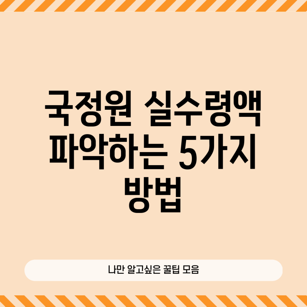 국정원 실수령액 파악하는 5가지 방법