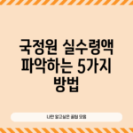 국정원 실수령액 파악하는 5가지 방법