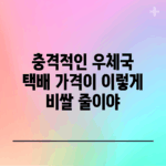 충격적인 우체국 택배 가격이 이렇게 비쌀 줄이야!