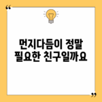 먼지다듬이, 정말 필요한 친구일까요?