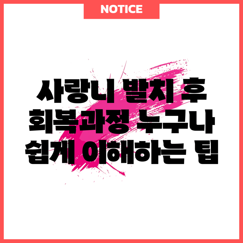 사랑니 발치 후 회복과정, 누구나 쉽게 이해하는 팁