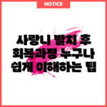 사랑니 발치 후 회복과정, 누구나 쉽게 이해하는 팁