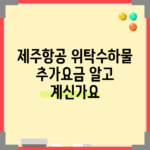 제주항공 위탁수하물 추가요금, 알고 계신가요?