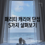 패리티 캐리어 단점 5가지 살펴보기