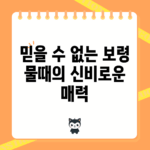 믿을 수 없는 보령 물때의 신비로운 매력