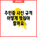 주민증 사진 규격, 어떻게 맞춰야 할까요?