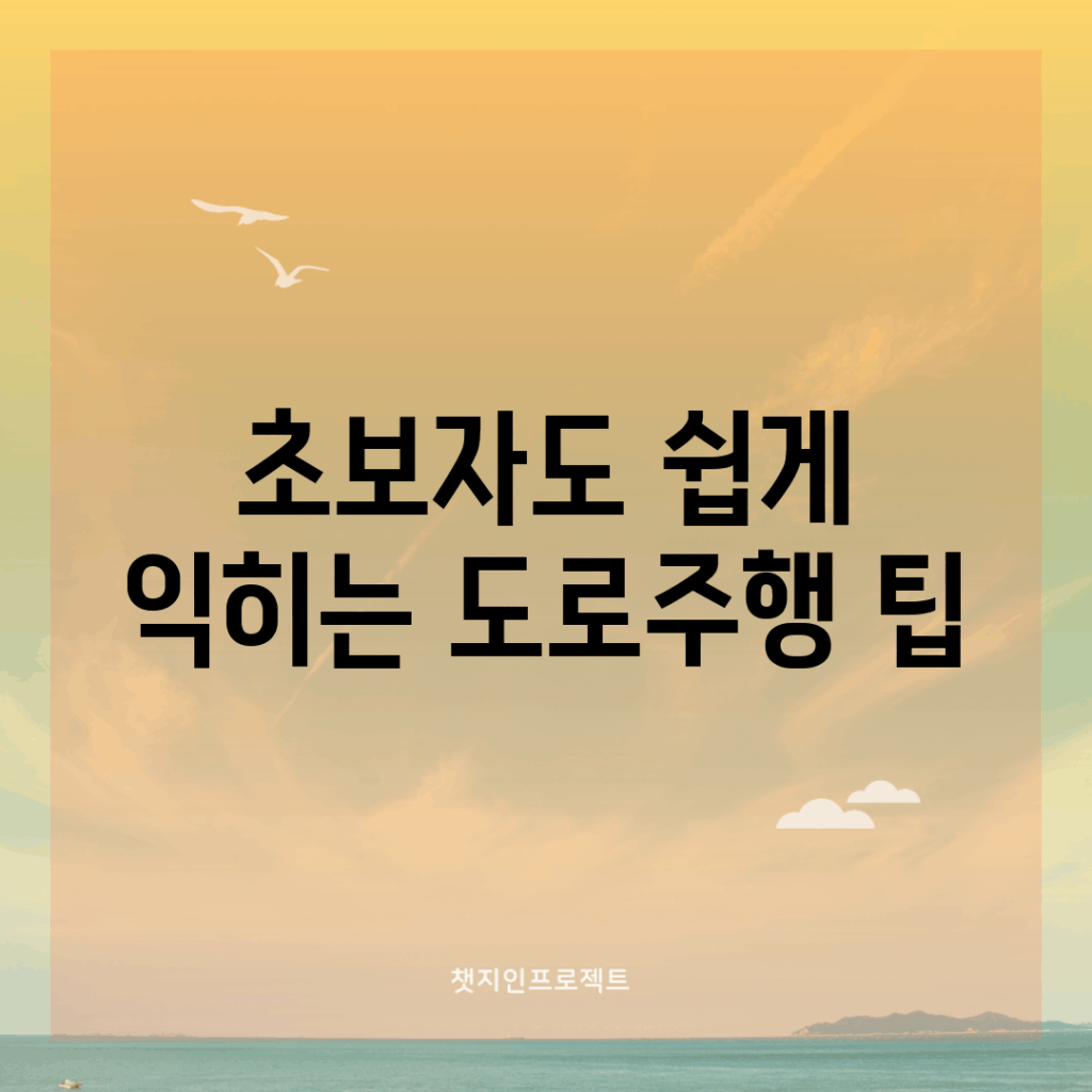 초보자도 쉽게 익히는 도로주행 팁
